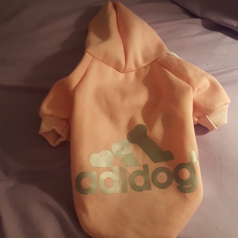 XS Dog Hoodie